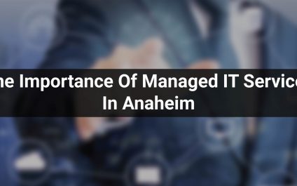 The Importance Of Managed IT Services In Anaheim