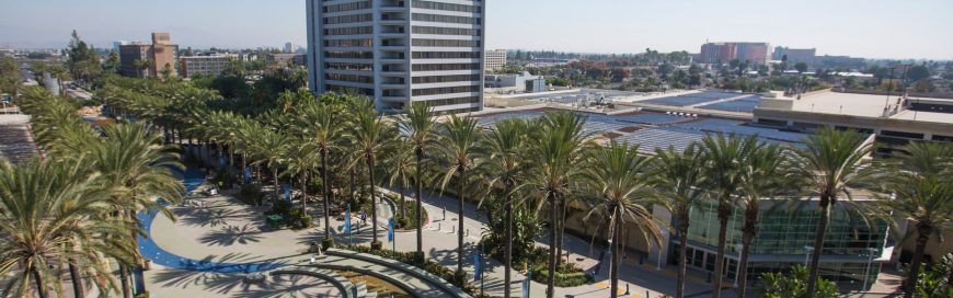 The Best IT Services In Anaheim