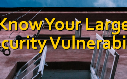 I Know Your Largest Security Vulnerability