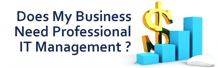 Does My Business Need Professional IT Management?