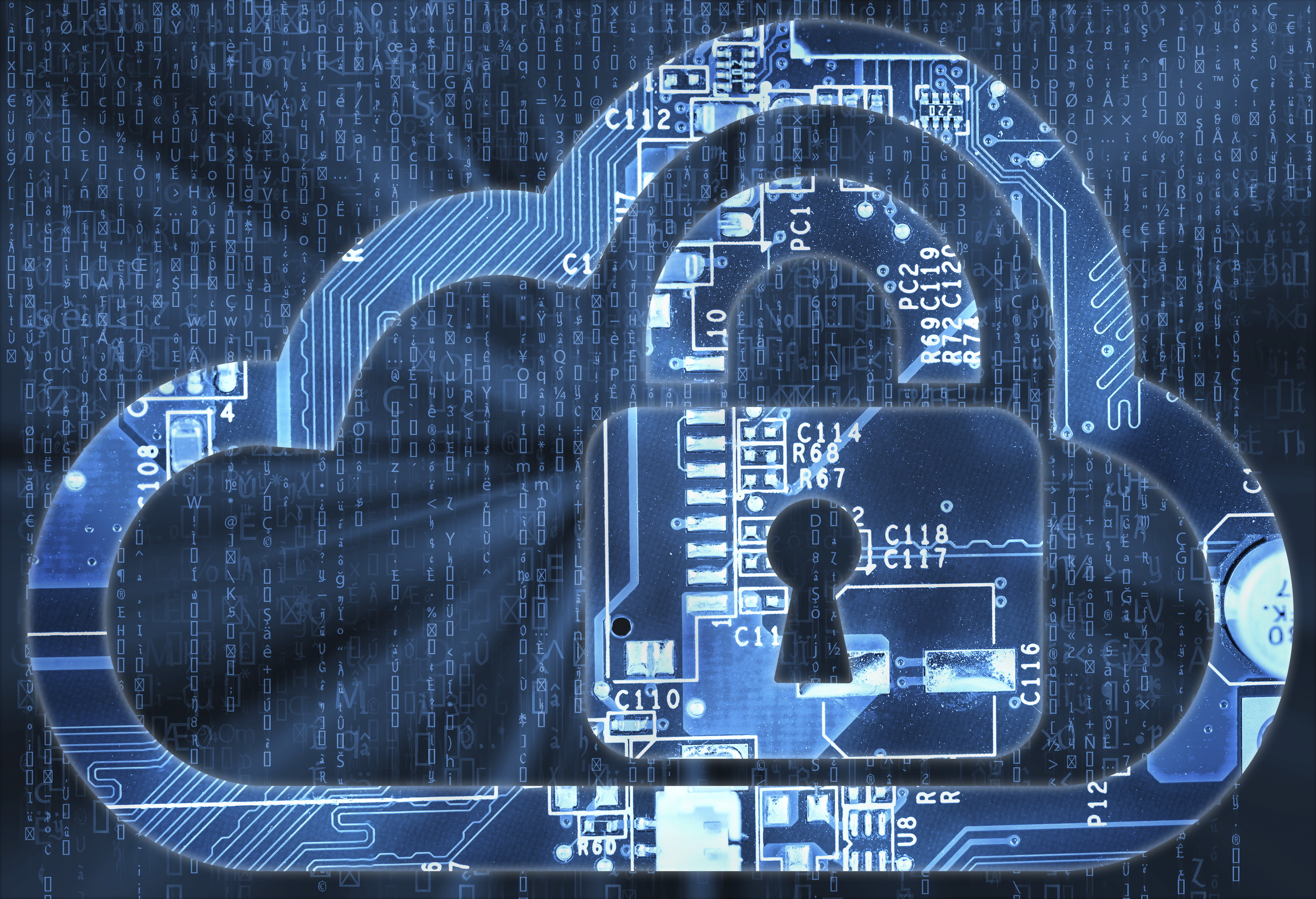 Cyber Security Team