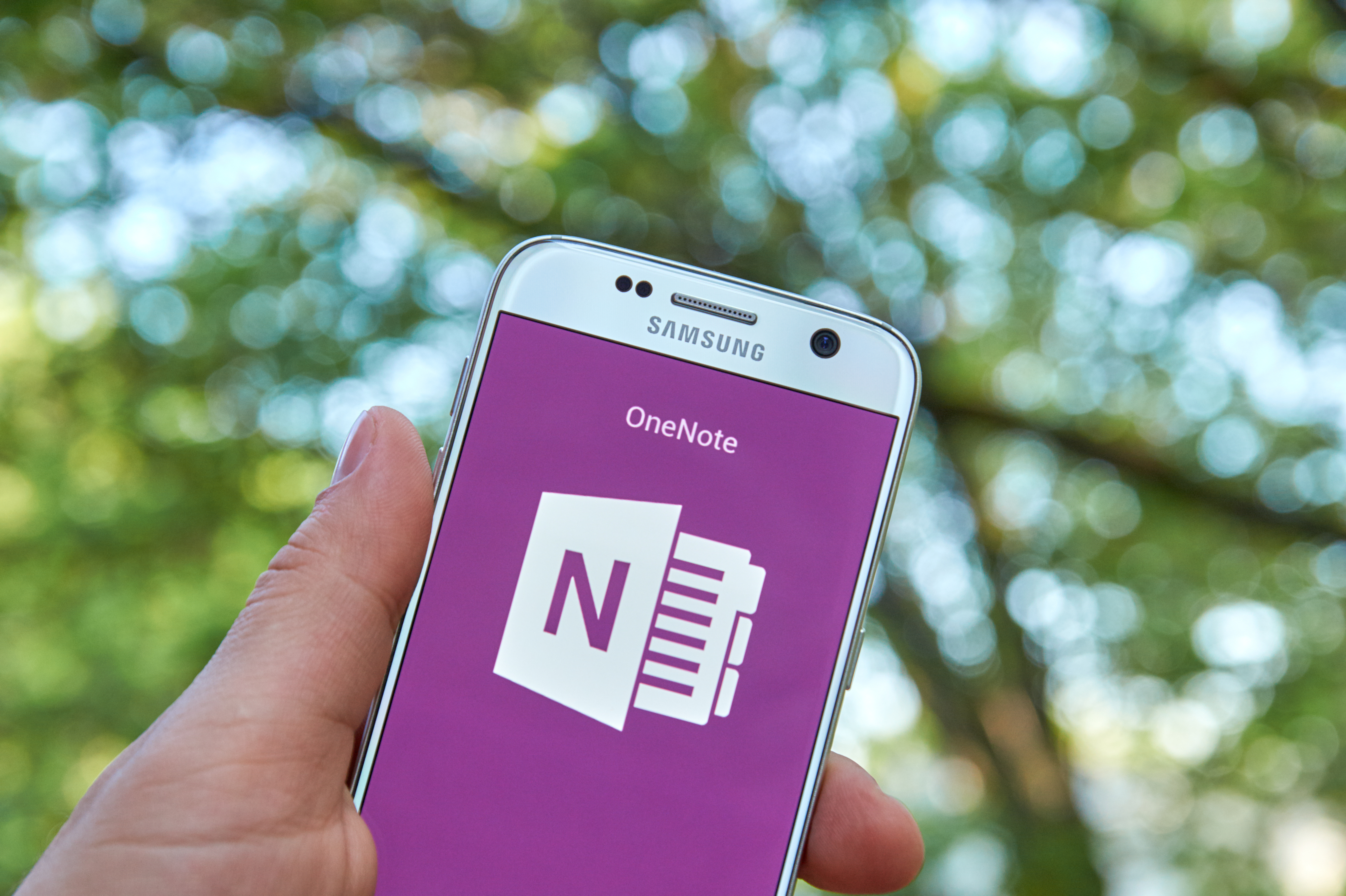 Office 365 has great tools
