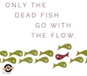 Don’t Be A Dead Fish – Swim Against The Current