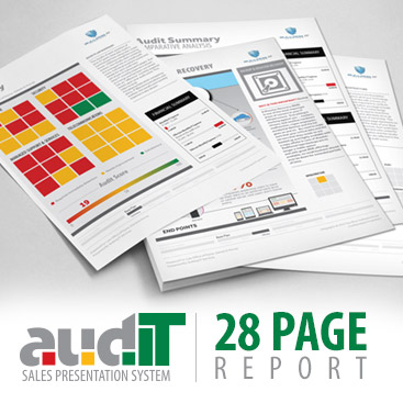 Audit-28-Report-Cover