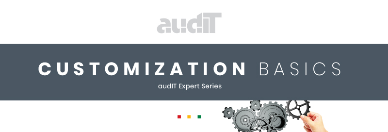 audit-expert-customization