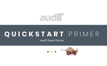 Quickstart Primer – audIT Expert Series