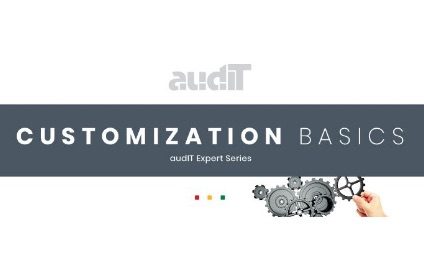 Customization Basics – audIT Expert Series