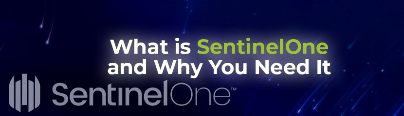 What is SentinelOne and Why You Need It