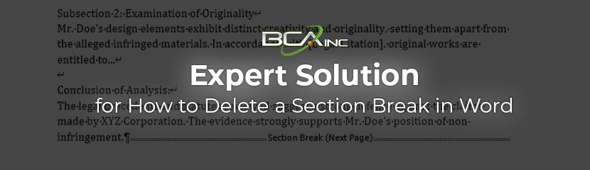 2024 Expert Solution for How to Delete a Section Break in Word