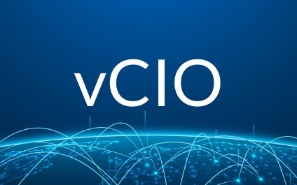 What is a vCIO?