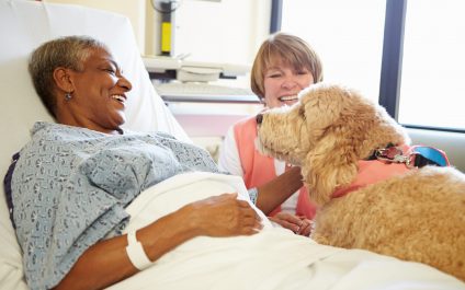 Service Animal’s in the Medical Industry