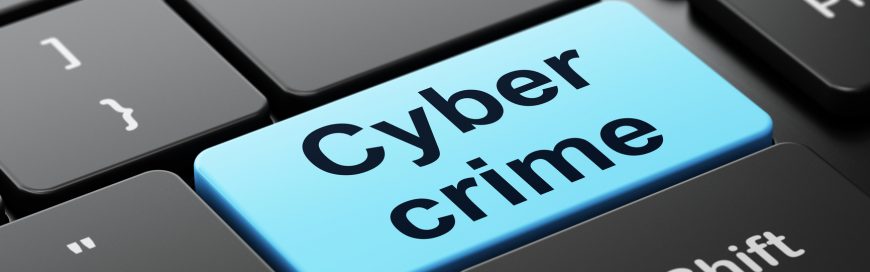 5 Essential Tips to Protect Your Small Business Against Cyber Crime