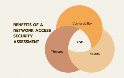 Network Access Security Assessment