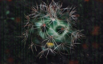 A Real Pain: CACTUS Ransomware Wreaks Havoc on VPNs