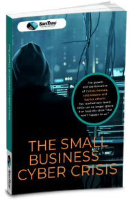 the-small-business-cyber-crisis-ebook-cover