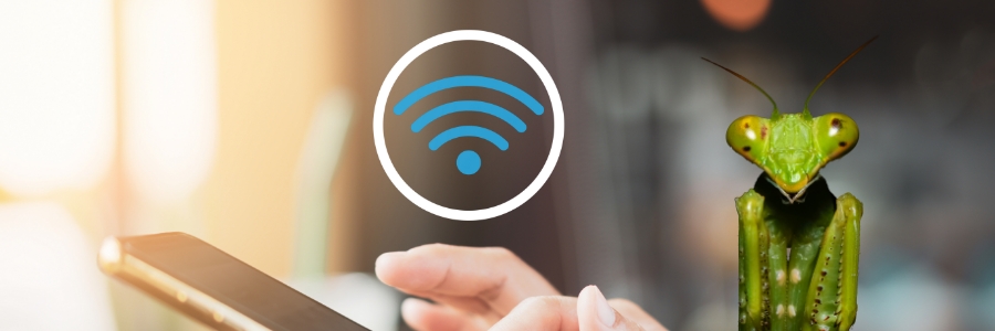 img-blog-roaming-mantis-real-time-case-study-in-compromised-public-wifi