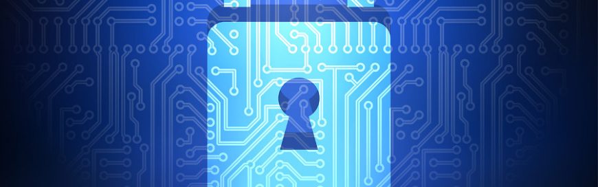 Browser security for business data