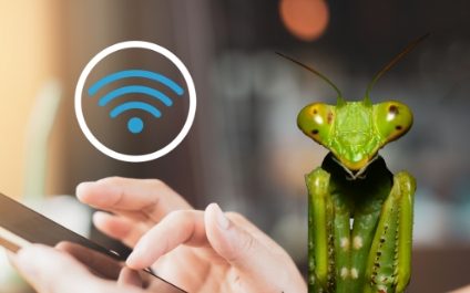 Roaming Mantis: Real-Time Case Study in Compromised Public WiFi