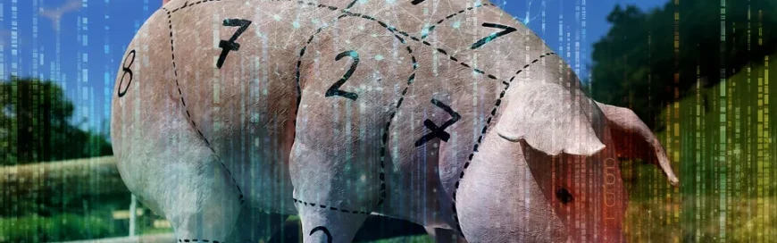 Caught in a Pig Butchering Scam?