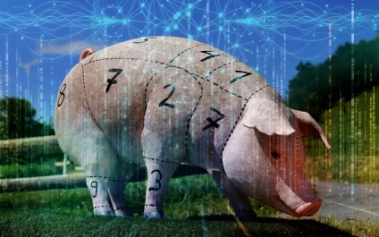 Caught in a Pig Butchering Scam?