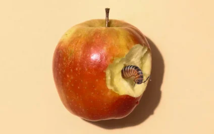 A Bite out of Apple? Safari Exploit Discovered