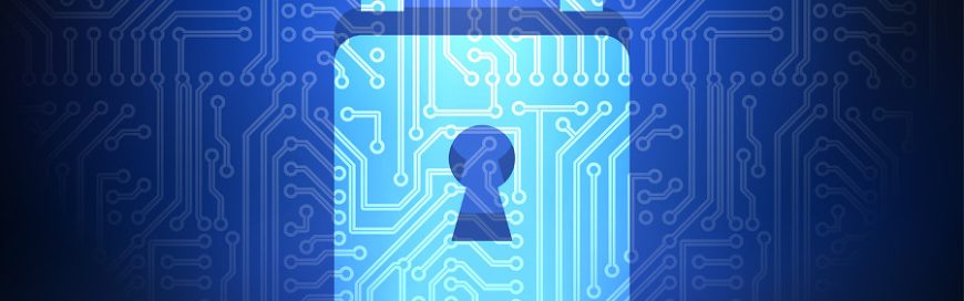 Browser security for business data