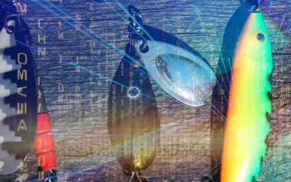Rethinking Phishing Tests: A Call For Trust And Control