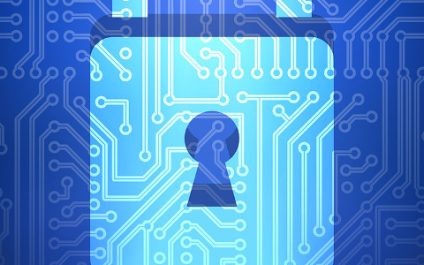Browser security for business data