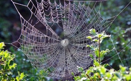Scattered Spider Skitters Back Onto Scene