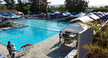 Swimming Lessons - Almaden Swim & Racquet Club, San Jose