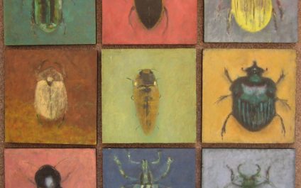 Meet the Beetles