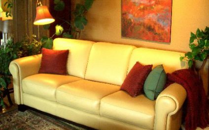 Should Art Match Your Sofa?