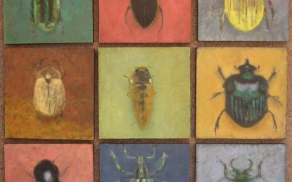 Meet the Beetles