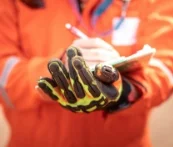 img-Glove-Testing-02