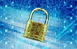 Software security lockdown