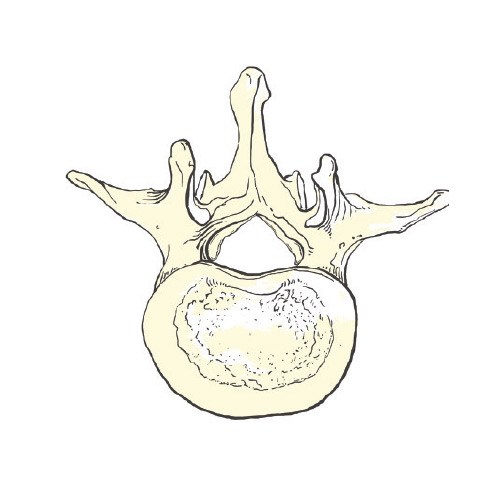 Lumbar Spinal Stenosis | Canada East Spine Centre