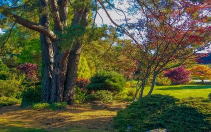 What’s on Your “Putting the Garden to Bed” Checklist?