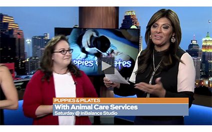 Puppies and Pilates on SA Living on WOAI