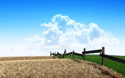 IT Support Clients in West Palm Beach Are Afraid That the Grass May Not Be Greener on the Other Side