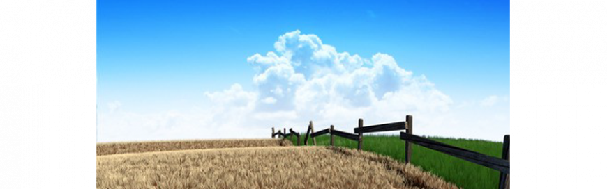 IT Support Clients in West Palm Beach Are Afraid That the Grass May Not Be Greener on the Other Side