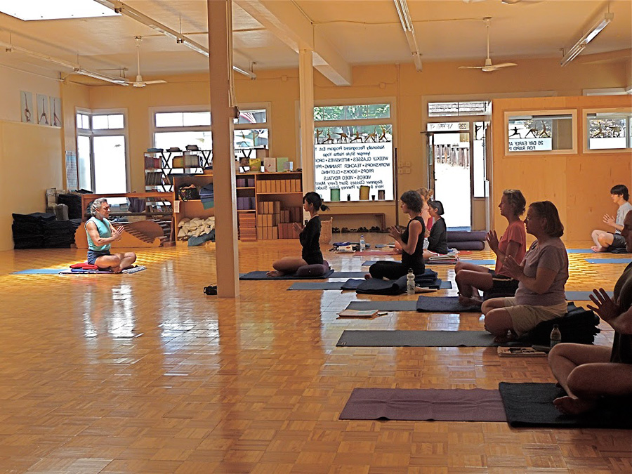 About Sivananda Yoga — Light Yoga Space