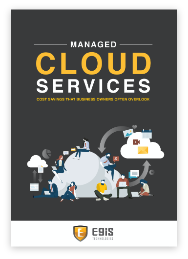 LD-EgisTechnologies-ManagedCloudServices-Cover