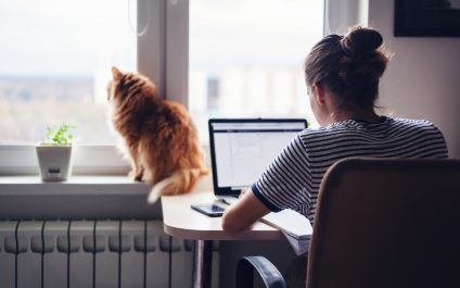 Covid-19 Outbreak: 7 Amazing Tips to Remain Productive When Working From Home as You Keep Safe
