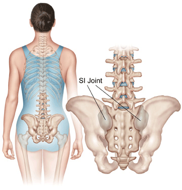 Bones of the Lumbar Spine and Pelvis