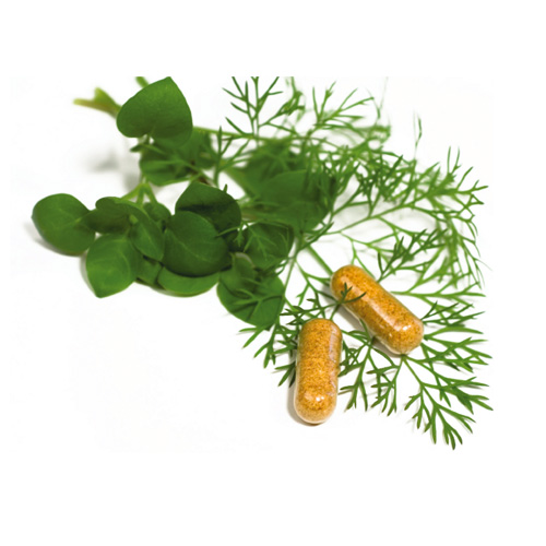 Brochure Redlands, Loma Linda, Highland Bones and Spine Surgery Inc.