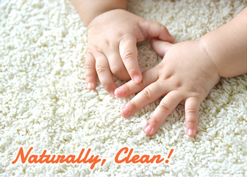Carpet Cleaning Hampton Roads